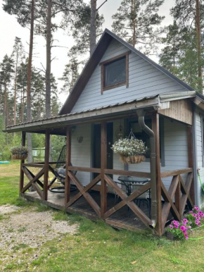 Kurumajake Peipsi järv